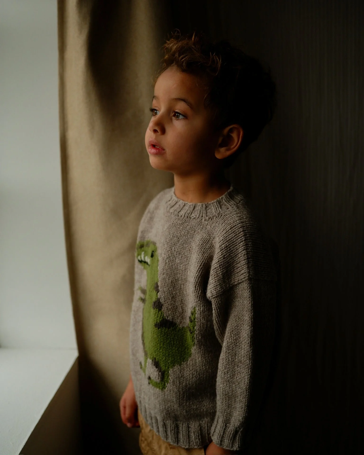 Dinosaur Sweater - Image 2