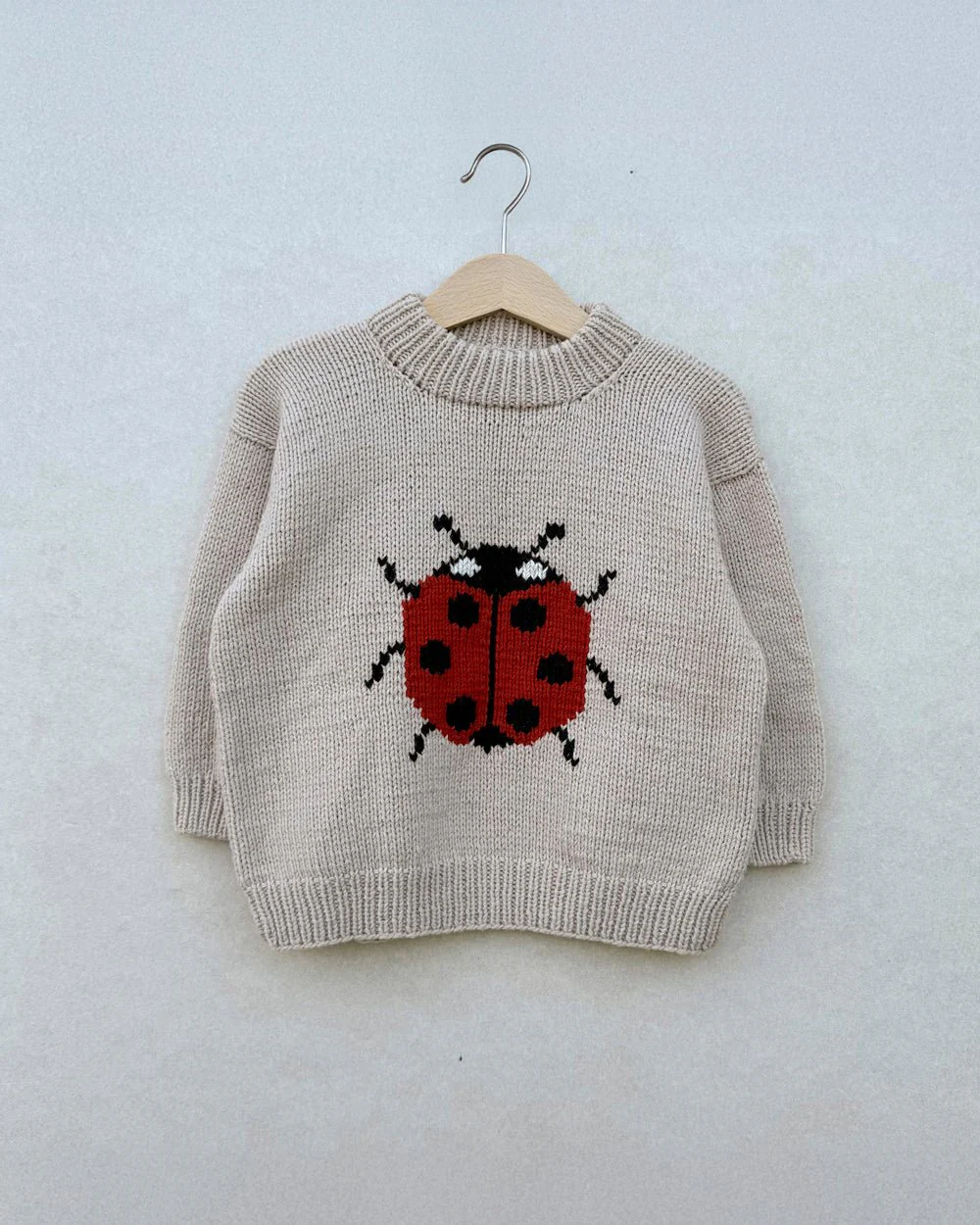 Ladybug Sweater - Image 4